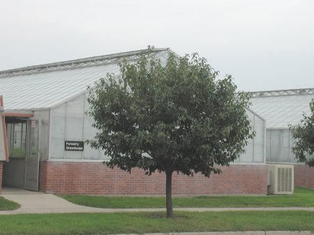 Forestry Greenhouse photo