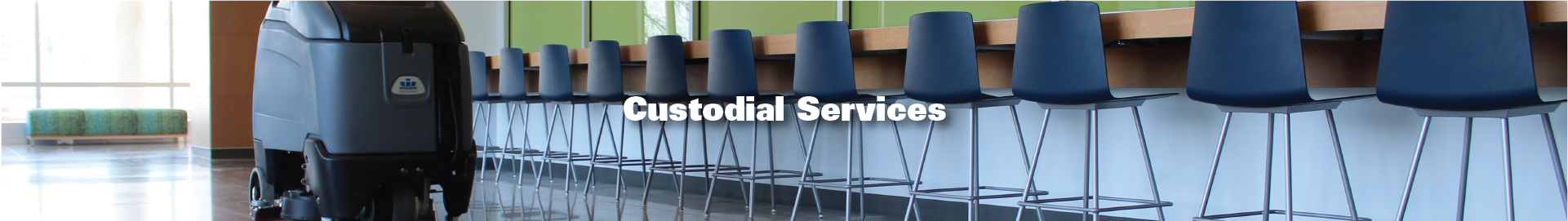 Custodial Services