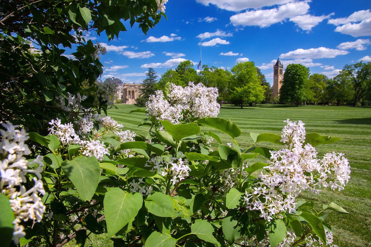 A summer view of central campus. (Christopher Gannon/Iowa State University)