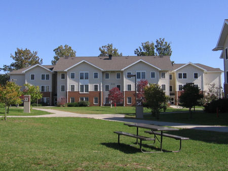 Photo of Frederiksen Court 33
