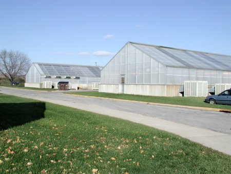 Photo of Agronomy Greenhouse